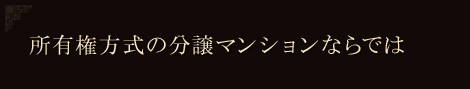 所有権方式の分譲マンションならでは